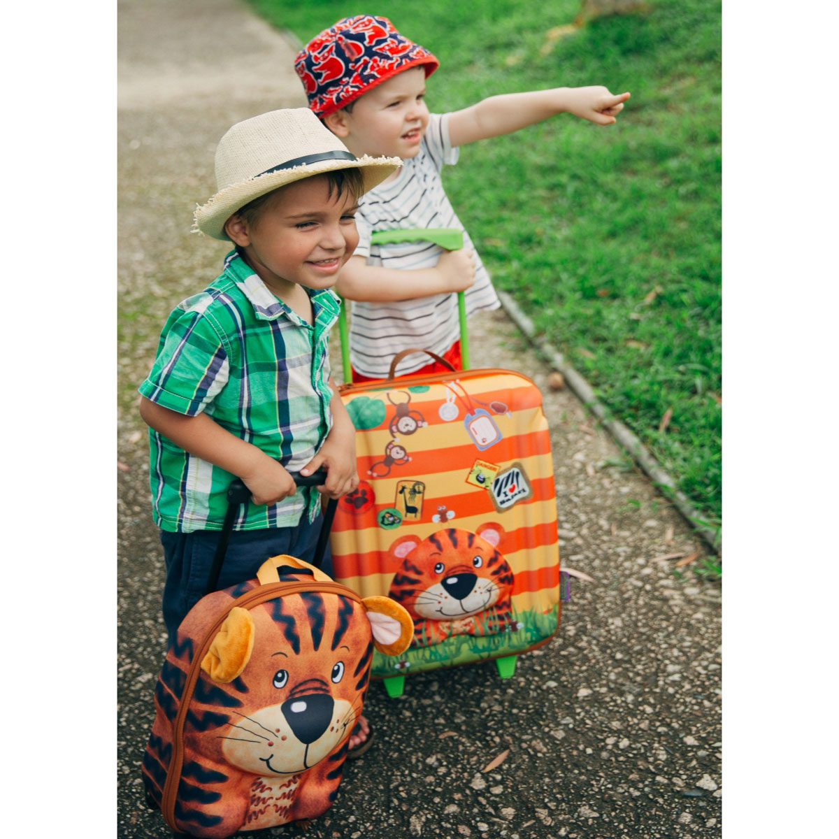 چمدان چرخدار بزرگ ببر مدل 80160