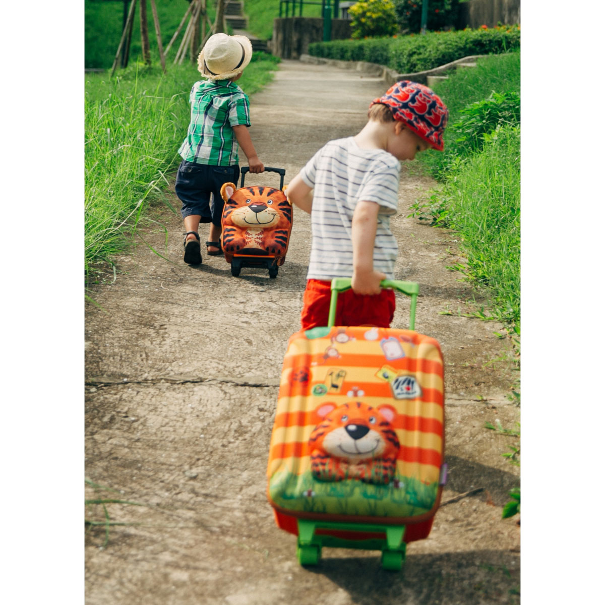 چمدان چرخدار بزرگ ببر مدل 80160