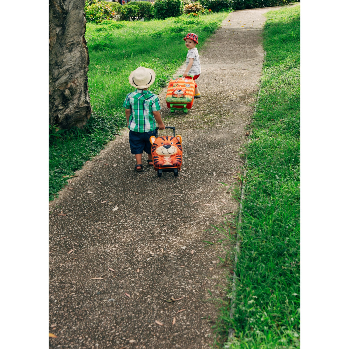 چمدان چرخدار کوچک ببر مدل 80011